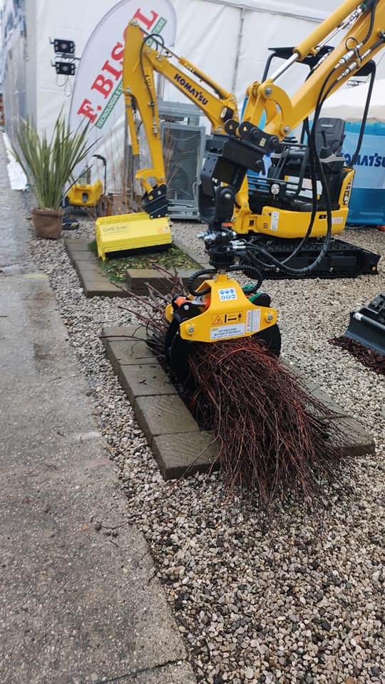 Rönkcsipesz- Ghedini - Kép 3