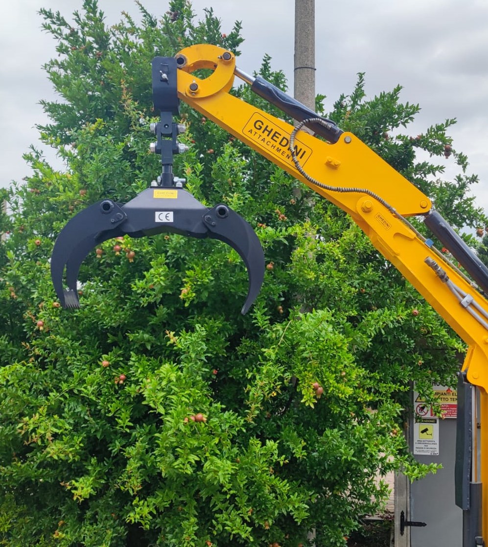 Rönkcsipesz- Ghedini